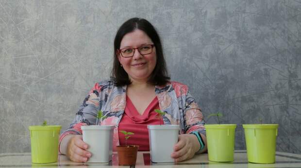 Клубничное дерево и арбузобанан: можно ли вывести необычные сорта фруктов и ягод