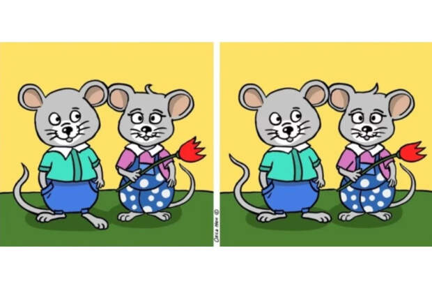 Встряхни мозг: найдите семь отличий на картинках всего за 15 секунд