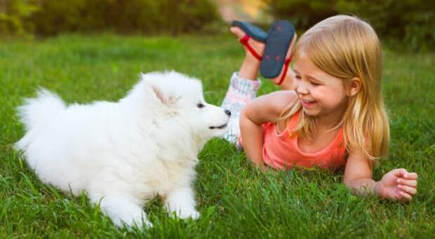 Щенок и девочка