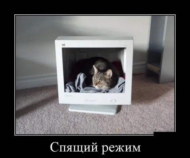 Демотиваторы (30 фото)
