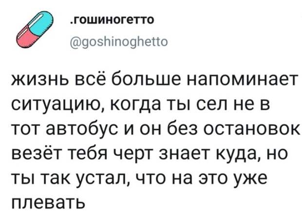 Подборка картинок. Дневной выпуск (20 фото)