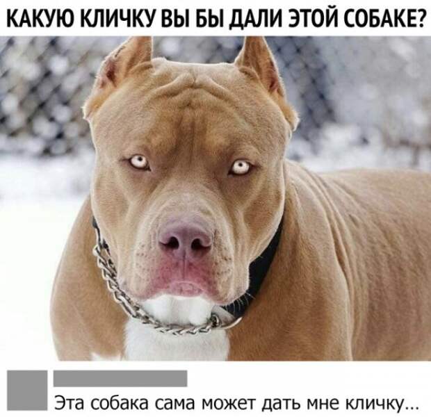 Чуток картинок