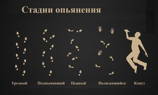 5 стадий опьянения