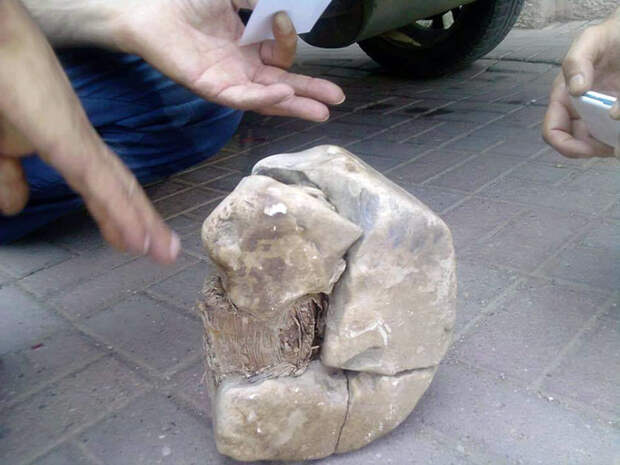 В Косово нашли трансформатор возрастом 20000 лет