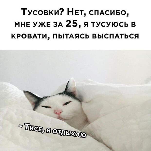 203850_9_trinixy_ru.jpg