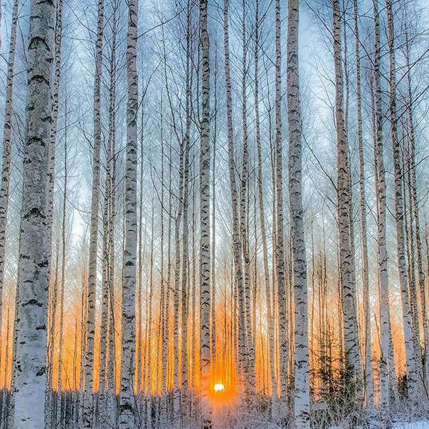 Фотографии Осси Сааринена. Фотографии Осси Сааринена.