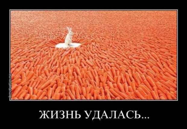 Прикольные демотиваторы с надписями. Подборка chert-poberi-dem-chert-poberi-dem-31220329102020-12 картинка chert-poberi-dem-31220329102020-12