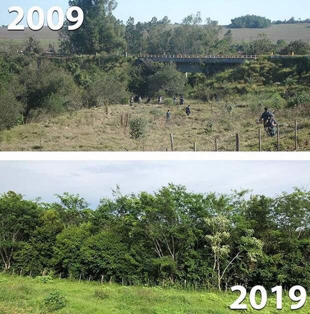 Климатические изменения от экологических организаций в стиле 10YearChallenge