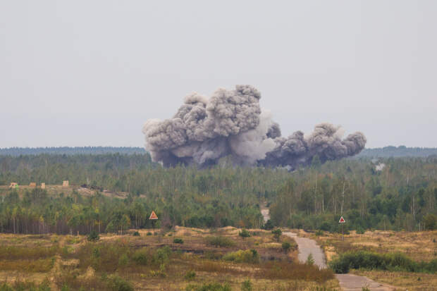 В США предупредили западные страны о последствиях провокаций против России