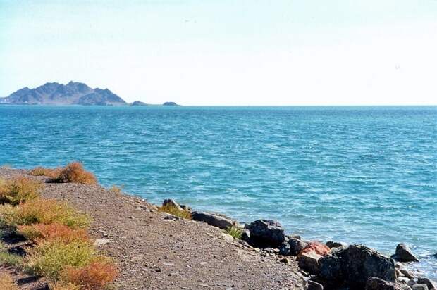 Загадочный Каспий: почему море мелеет, светится и выбрасывает мертвых нерп