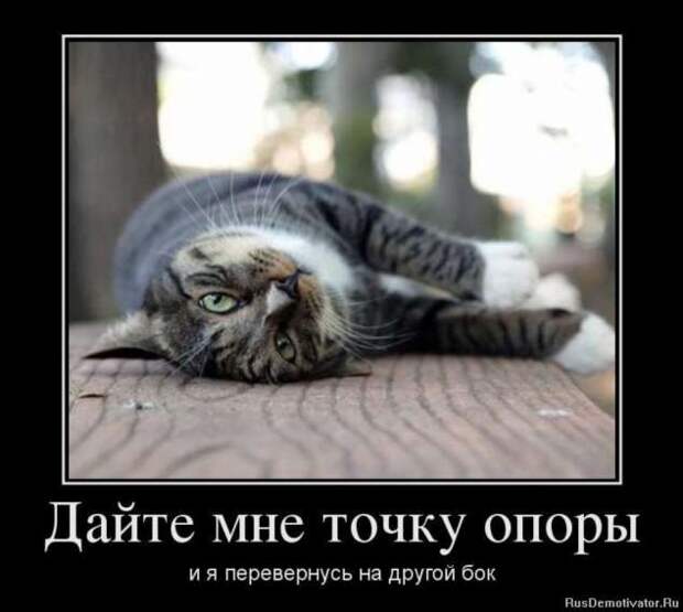 Демотиваторы. Подборка chert-poberi-chert-poberi-06230805052020-13 картинка chert-poberi-06230805052020-13