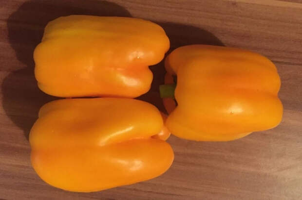 Агроном Терентьев рассказал о самых устойчивых сортах перца