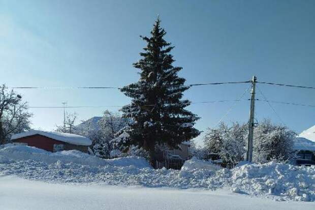 Тамбов ждёт испытание оттепелью и южными циклонами