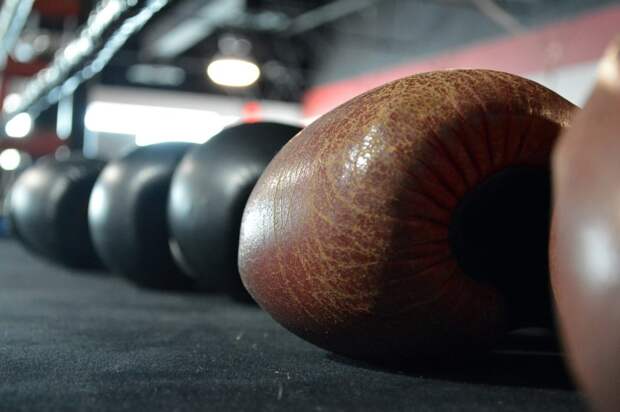 boxing-gloves-375473_1920 alt