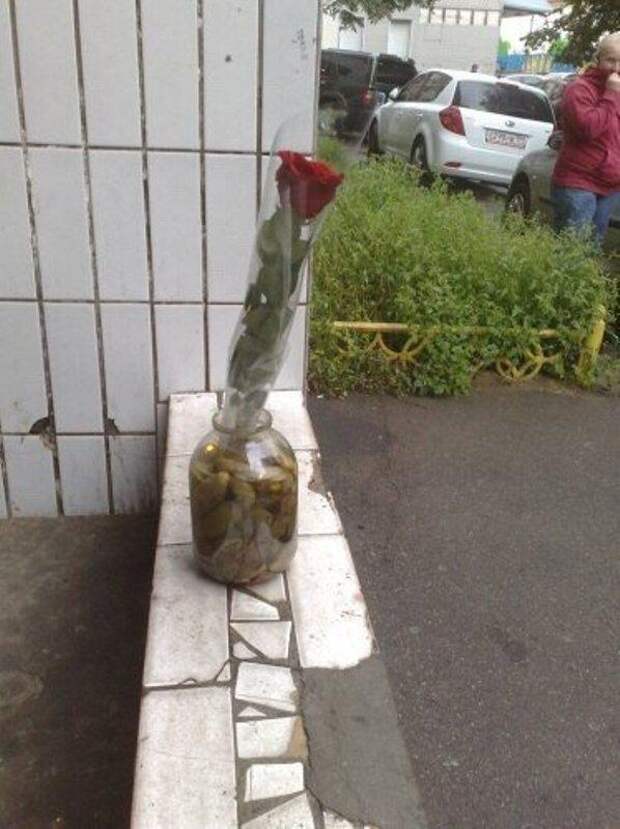 Приколы Приколы