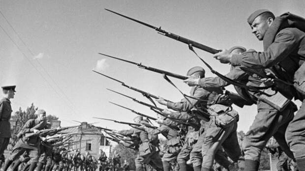 Шойгу в Белграде напомнил миру о недопустимости изменения истории Второй мировой войны Шойгу в Белграде напомнил миру о недопустимости изменения истории Второй мировой войны
