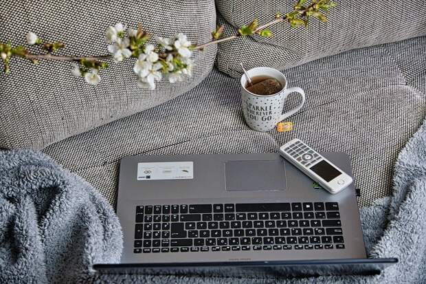 Ноутбук. Фото: pixabay.com