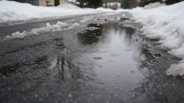 В РАН высказались о вероятности паводков в столичном регионе