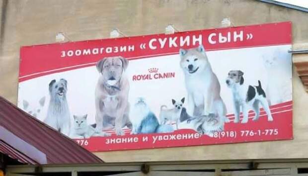 Давайте улыбаться вместе! :) (33 повода)