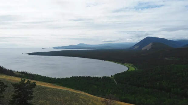 Охрану Байкала доверили лесорубам: что грозит главному озеру России