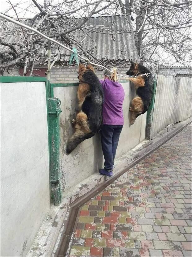 фотоприколы