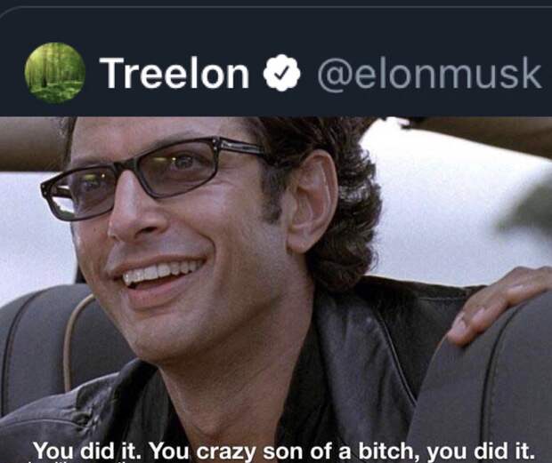 Илон Treelon Маск и проект #TeamTrees