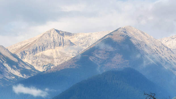 «Твин Пикс» по-болгарски: в горах обнаружены тела шести человек