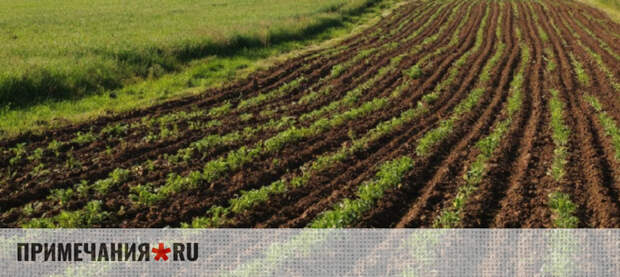 28 дел переданы в суды за нецелевое использование участков в Крыму