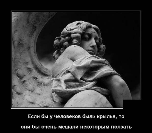 Демотиваторы 16 июля 2021