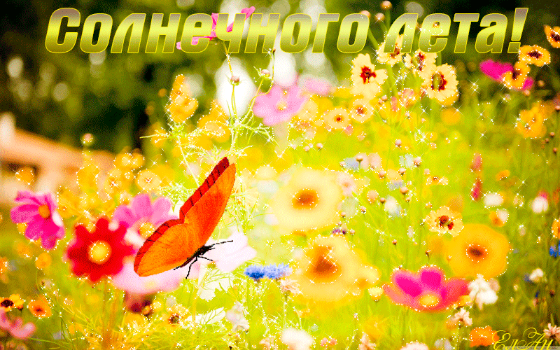 Образование Плюс КМВ поздравляет всех учеников и желает им отличных каникул