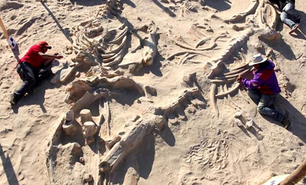 5 необъяснимых находок под песками Сахары: двухметровые люди и крепости неизвестных науке цивилизаций