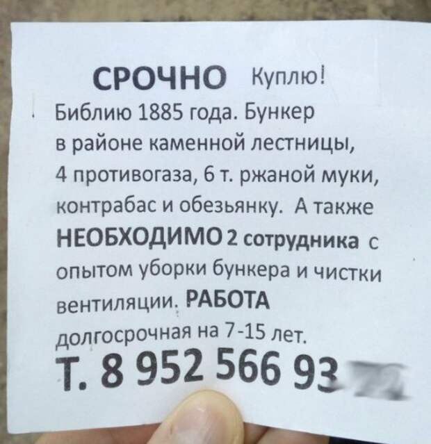 Забавные картинки с надписью для веселья (12 фото) Забавные картинки с надписью для веселья (12 фото)