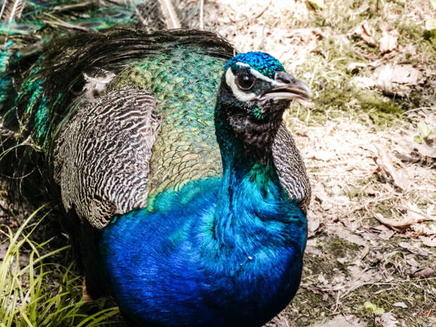 Фотолайфхак: Акцент