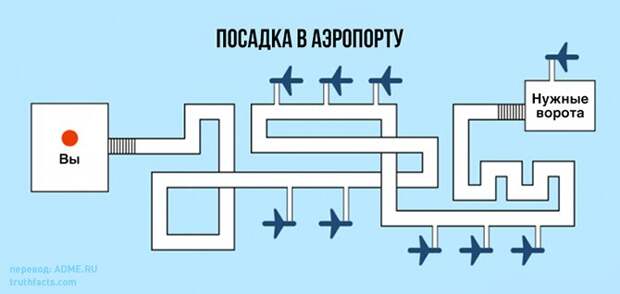 20 правдивых графиков о нашей жизни