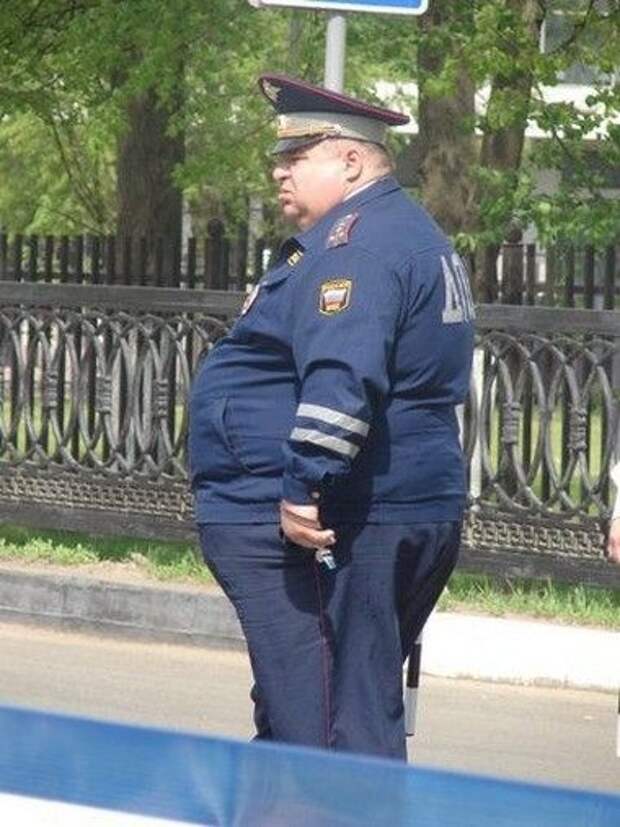 Картинки по запросу толстый инспектор