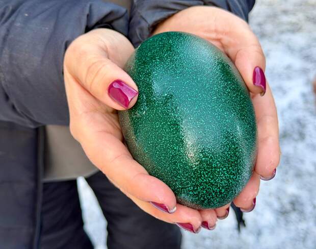 Гигантские птицы в Симферополе снесли изумрудные яйца