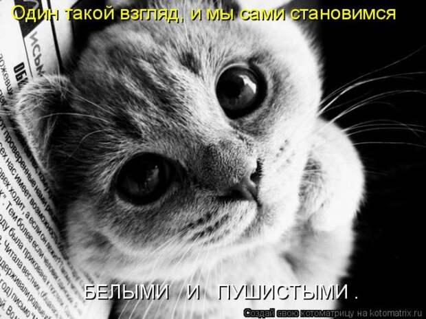 Мысли вслух :)