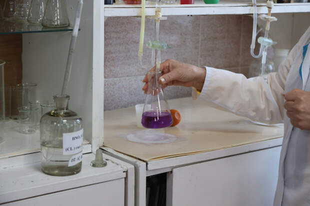 Фитотерапия, сельское хозяйство и защита моря: 12 научных проектов из Крыма получили грант на развитие