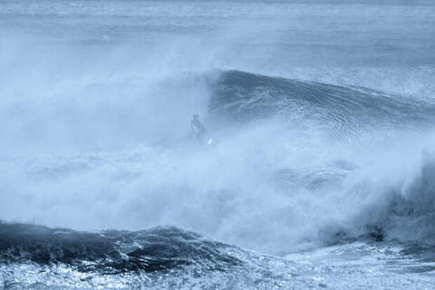 На глубине 9 км в Тихом океане нашли неизвестное существо
