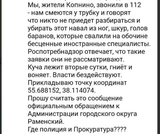 Фото: тг-канал "Многонационал".