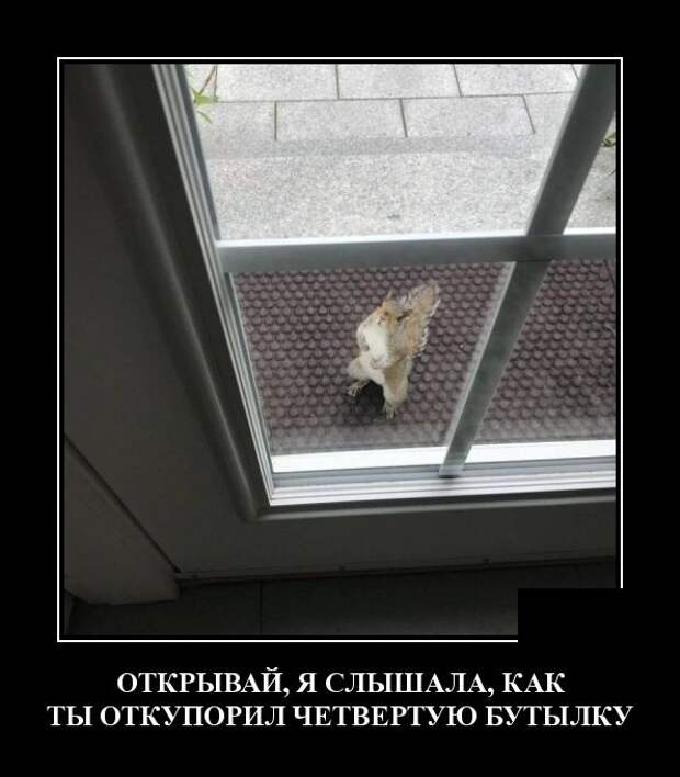 Демотиваторы (30 фото)