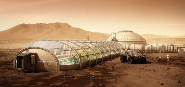 Ученые протестировали, какие виды растений смогут прижиться в марсианском грунте 