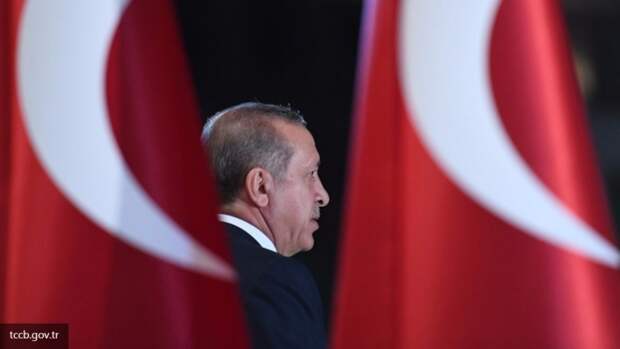 Президент Турции попросил убежища в Германии