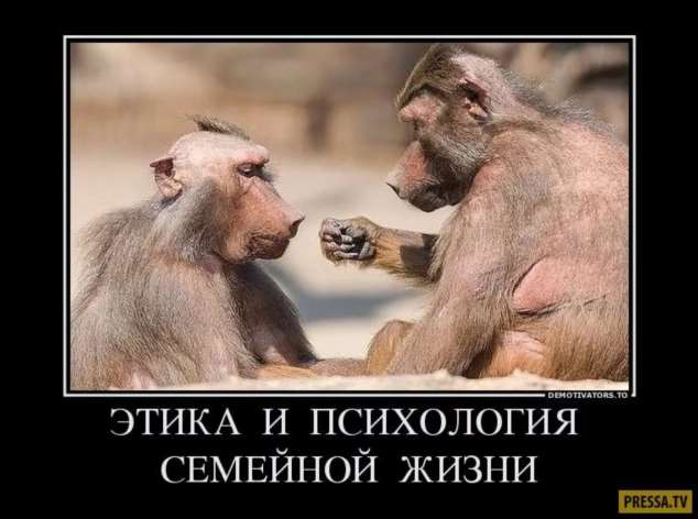 Прикольные демотиваторы с надписями. Подборка chert-poberi-dem-chert-poberi-dem-45040411082020-16 картинка chert-poberi-dem-45040411082020-16