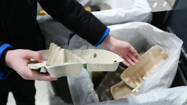 Эксперт назвал самые эффективные способы помочь природе