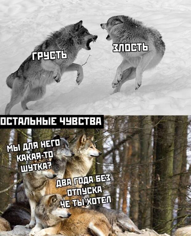 Подборка картинок. Вечерний выпуск (30 фото)