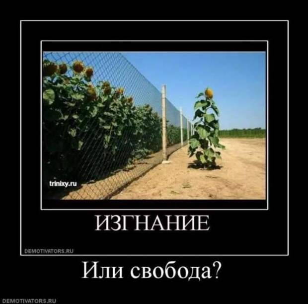 Прикольные демотиваторы с надписями. Подборка chert-poberi-dem-chert-poberi-dem-57530217102020-13 картинка chert-poberi-dem-57530217102020-13