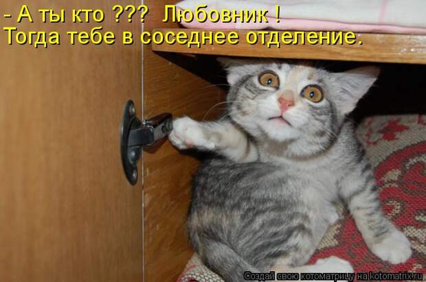 Котоматрица: - А ты кто ??? Любовник ! Тогда тебе в соседнее отделение.