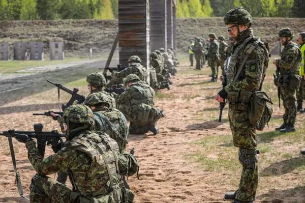 «Нечего там делать»: Эстонские солдаты на Украину не едут, против выступила