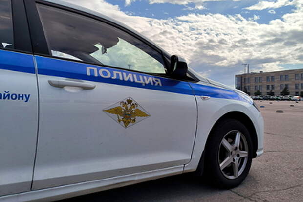 В Ленобласти полиция возбудила уголовное дело после избиения 15-летней школьницы